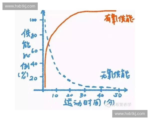 运动耗能与身体代谢关系研究：探索不同运动形式对能量消耗的影响及优化策略