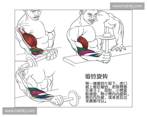 等长收缩训练方法与肌肉力量提升机制深入解析
